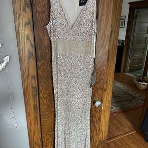 Sequined Sheath Gown Nude